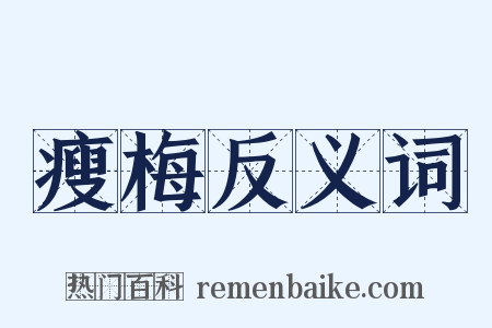 瘦梅反义词是什么意思的图片